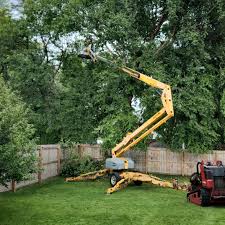 Best Sod Installation  in Nephi, UT